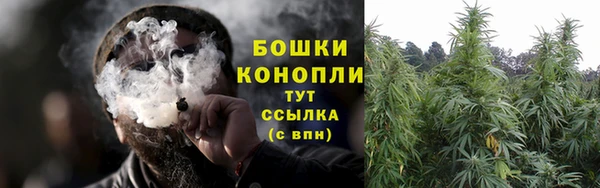 молекула духа Белоозёрский
