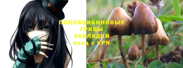 молекула духа Белоозёрский