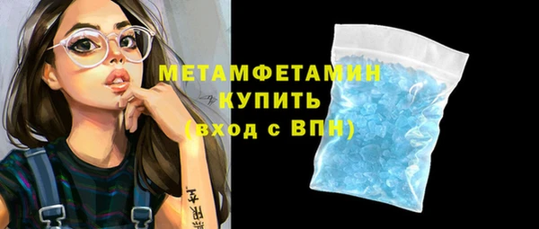 ГАЛЛЮЦИНОГЕННЫЕ ГРИБЫ Богданович