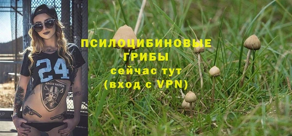 молекула духа Белоозёрский