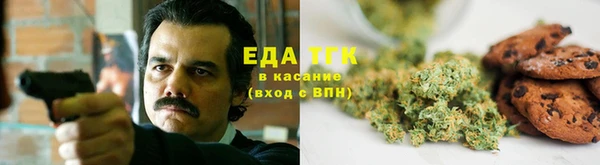 ГАЛЛЮЦИНОГЕННЫЕ ГРИБЫ Богданович