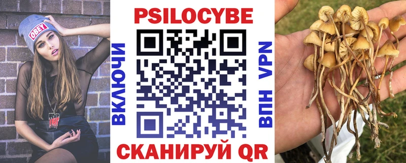 купить   Навашино  Псилоцибиновые грибы Psilocybine cubensis 